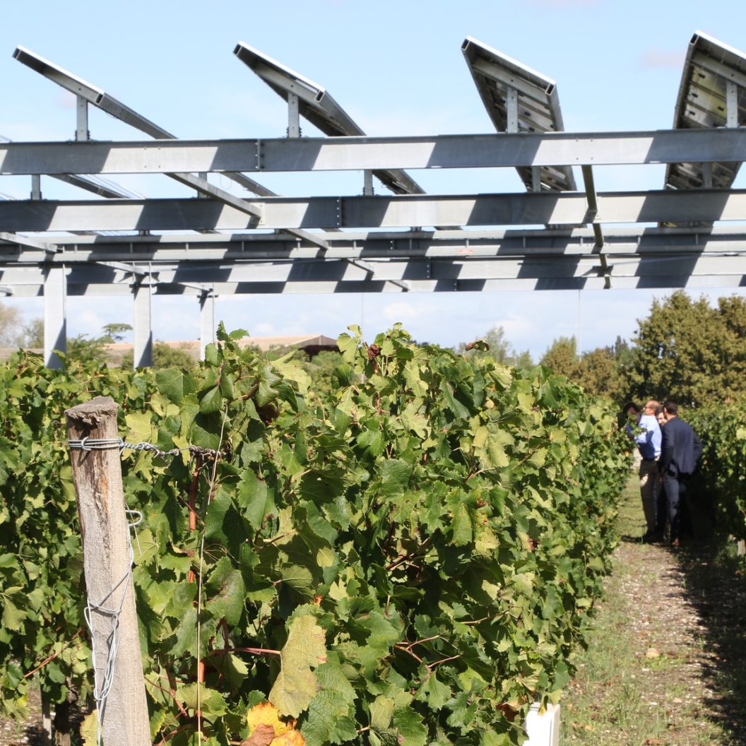 Vitisolar Cuma vigne agrivolatïsme nouvelle aquitaine