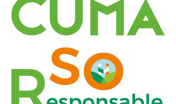 log RSO Cuma So Responsable