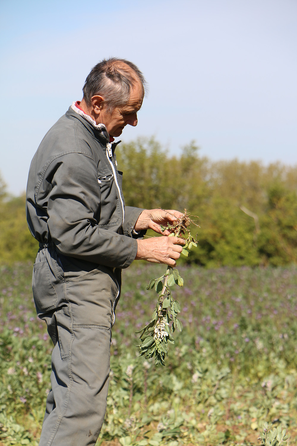 agriculteur cuma aux champs